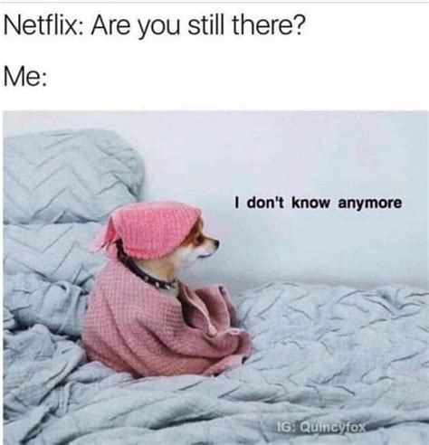 75 funny introvert memes that are even more hilarious in 2020
