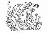 Reef Coloring Barrier Corail Underwater Dibujos Coloriages Designlooter Getcolorings Divyajanani sketch template