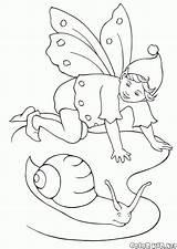 Colorare Fata Hadas Caracol Lumaca Fadas Duendes Colorkid Elfi Ogrodnik Kolorowanka Malvorlagen Schnecke Elfos Feen Elfen ślimak Regenschirm Fairies Elves sketch template