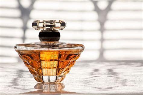 expensive perfumes   buy viora london