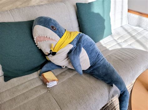Ikeaのサメ用アカ ワタザメ On Twitter こっそりと食べようとしてる所を撮影