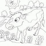 Cow Flowers Coloring Field Finished Seipp Dave Drawn sketch template