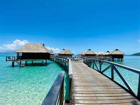 hilton moorea lagoon resort spa standard award availability