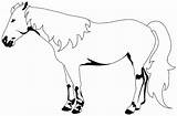Colorir Desenhos Cavalos Cavalo sketch template