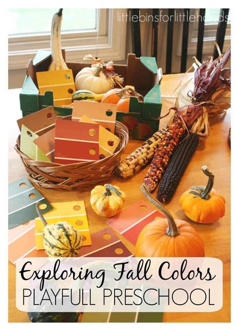 exploring fall colors  gourds preschool fall activity  bins