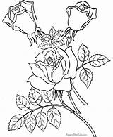 Roses Everfreecoloring sketch template