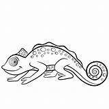 Camaleonte Kleurplaten Kameleon Chameleon Wilde Schattige Toad Selvatici sketch template
