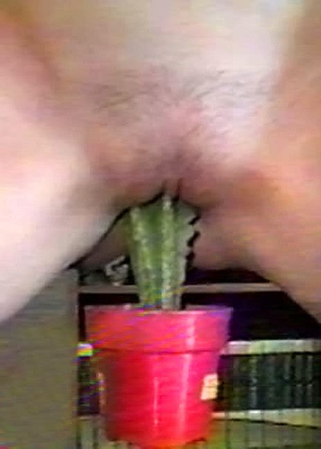 pussy cactus hidden dorm sex