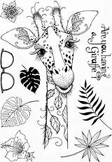 Clear Stamp Ink Pink Designs Set Giraffe Franticstamper Sold sketch template