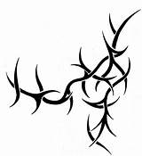 Thorn Vine Drawing Tattoo Drawings Clipart Paintingvalley Clipartmag sketch template