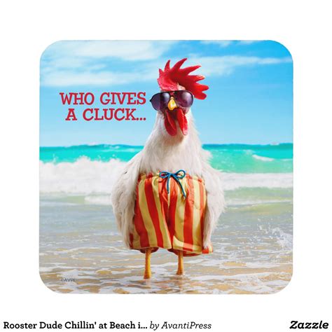 Rooster Dude Chillin At Beach In Swim Trunks Drink Coaster Zazzle