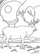 Coloring Elk Pages Mountain Printable Rocky Drawing Scenery Mountains Deer Color Daily Head Simple Bull Supercoloring Kids Online Animal Landscape sketch template