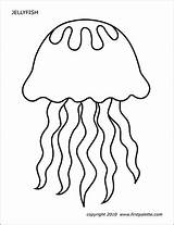 Jellyfish Printable Fish Coloring Pages Templates Ocean Template Color Firstpalette Animal Kids Printables Jelly Colouring Craft Sea Crafts Choose Board sketch template