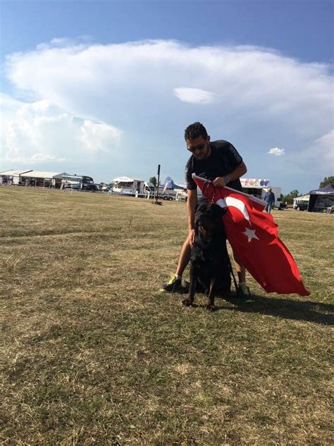 ch tr aragorn von haus drazic secereli rottweiler