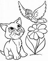 Mewarnai Hitam Kucing Animasi Hewan Diwarnai sketch template