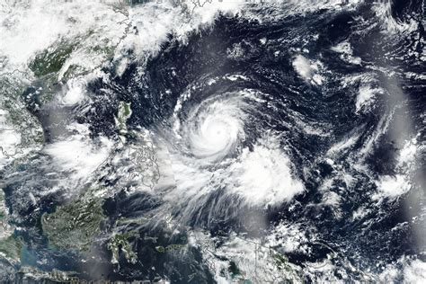 asian typhoon japaneseclassjp