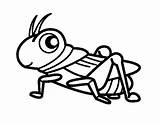 Grasshopper Coloring Colorear Para Saltamontes Dibujo Fun Pages Drawing Line Divertido Creativity Animales Dibujos Book Colour Getcolorings Tools Gardening Coloringcrew sketch template