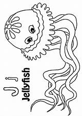 Jellyfish Qualle Ausmalbilder Pages Ausmalbild Kostenlos Malvorlagen sketch template