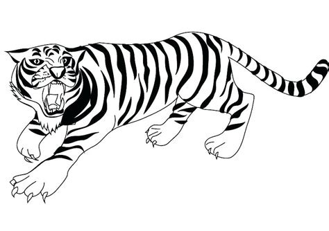 sabre tooth tiger drawing  getdrawings