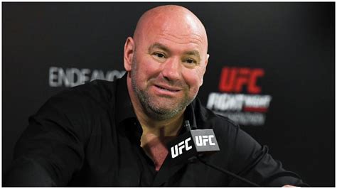 dana white s wife anne stella 5 fast facts