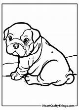 Puppy Puppies Dog Crafty He sketch template