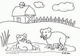 Coloring Farm Pages Preschool Printable Popular sketch template