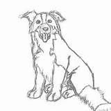 Collie Border Coloring Pages Whippet Deviantart Oraa Getcolorings Printable Print Downloads sketch template