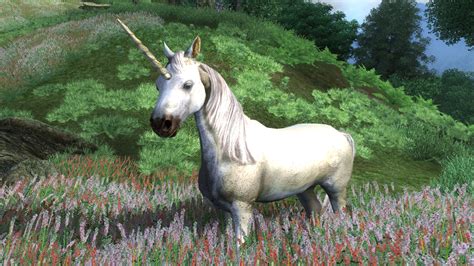 Unicorn The Elder Scrolls Wiki