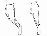 Angulation Dogs sketch template