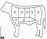 Carne Despiece Vacuno Malvorlagen Fleisch Barbacoa Schneiden Rind Churrasco Colorir Bovino Desenhos sketch template