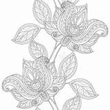 Naadloos Bloemenpatroon Illustratie Achtergrond Dekking Vectorreeks sketch template