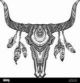 Skull Bull Native American Feathers Totem Drawn Sketch Alamy Hand sketch template