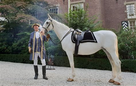 wit paard voor commercial evenement  ceremonie wwwkoetsennl