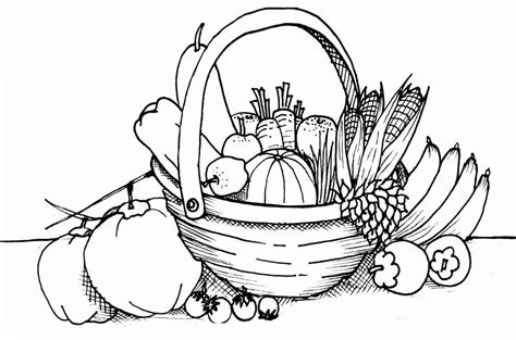 fruits  basket coloring pages fruit coloring pages basket drawing