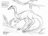 Coelophysis Stegosaurus sketch template