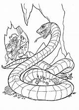 Serpiente Caccia Serpente Colorear Segugio Python Snakes Reptiles Colorkid sketch template