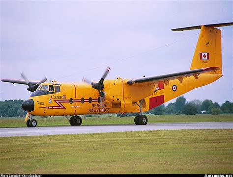 de havilland canada cc  buffalo dhc  canada air force aviation photo