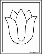 Tulip Coloring Pages Preschool Flower Tulips Designlooter Colorwithfuzzy 5kb sketch template