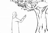 Zacchaeus Repentance Zachaeus Forgiveness Supercoloring Jezusa Misja Webstockreview sketch template