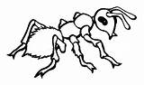 Colorat Desene Furnica Planse Animale Insecte Ant Fise Cuvinte Cheie sketch template