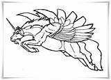Pegasus Einhorn Malvorlagen sketch template