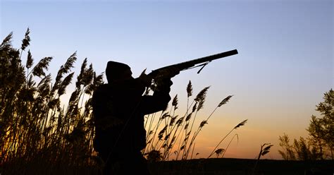 decline  hunting threatens conservation funding college  natural resources news
