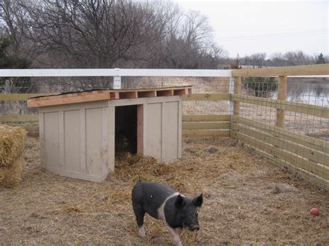 image result  pig pens  shelters bebederos  gallinas