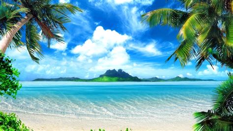 hintergrundbild fuer handys landschaft sea strand palms  bild