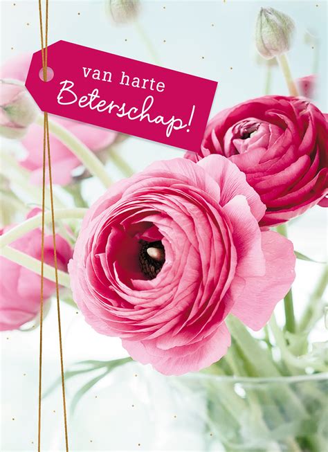 beterschapskaart vrouw bloemen van harte beterschap hallmark