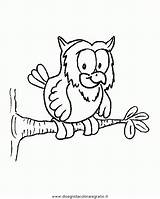 Gufo Owl Kolorowanki Eulen Sowa Druku Gufi Kolorowanka Ptaki Dzieci Sowy Malowanki Tiere Papuga Kiddos Super Malvorlage Zwierzeta Kategorien sketch template