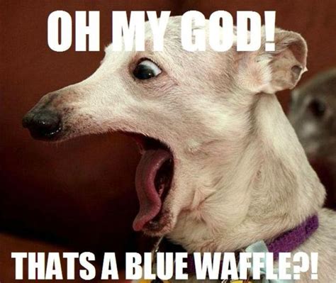 Ready To Laugh Out Loud Check Out These 10 Funny Waffle