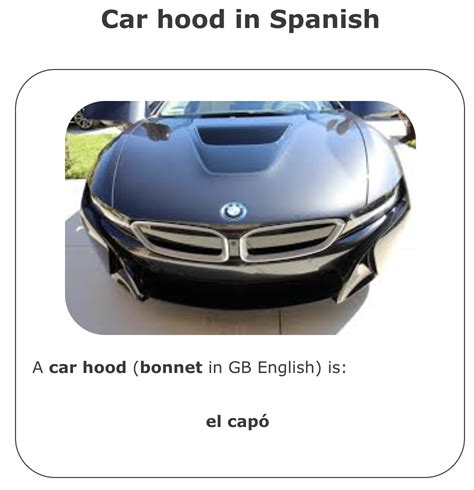 How To Say Hood Of Car In Spanish Zonspataforelexow