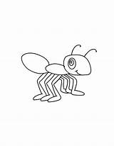 Ant Coloring Draw Insect Little Coloringsky sketch template
