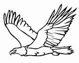 Eagle Soaring Drawing Bald Coloring Sheet Getdrawings Clip Clipart sketch template
